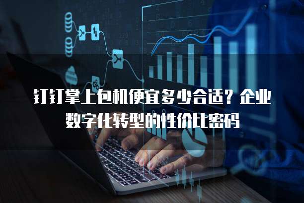 钉钉掌上包机便宜多少合适？企业数字化转型的性价比密码
