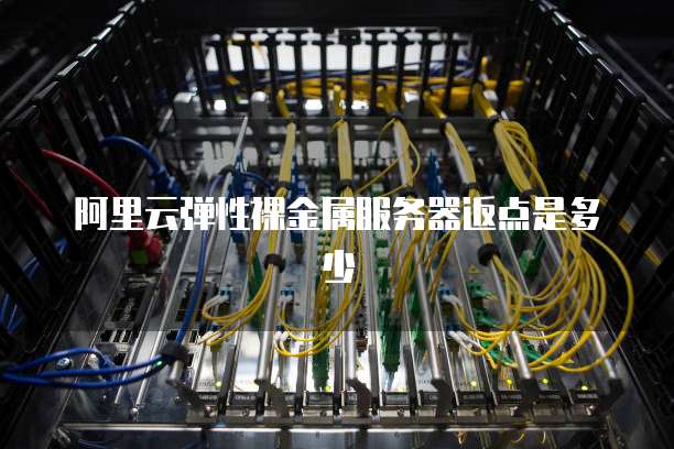 阿里云弹性裸金属服务器返点是多少