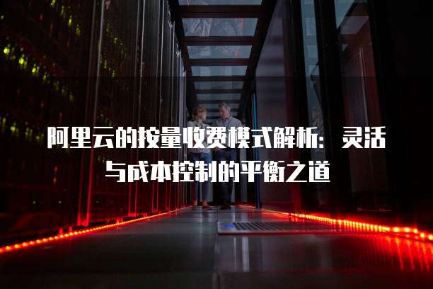 阿里云的按量收费模式解析：灵活与成本控制的平衡之道