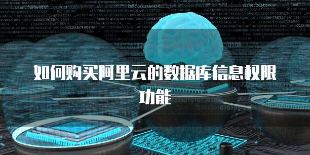 如何购买阿里云的数据库信息权限功能