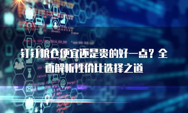 钉钉粮仓便宜还是贵的好一点?全面解析性价比选择之道