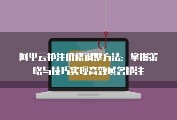 阿里云抢注价格调整方法:掌握策略与技巧实现高效域名抢注