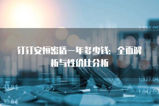 钉钉安恒密盾一年多少钱:全面解析与性价比分析