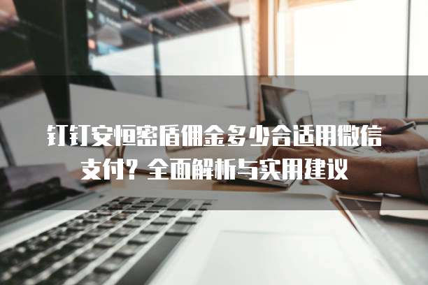 钉钉安恒密盾佣金多少合适用微信支付?全面解析与实用建议