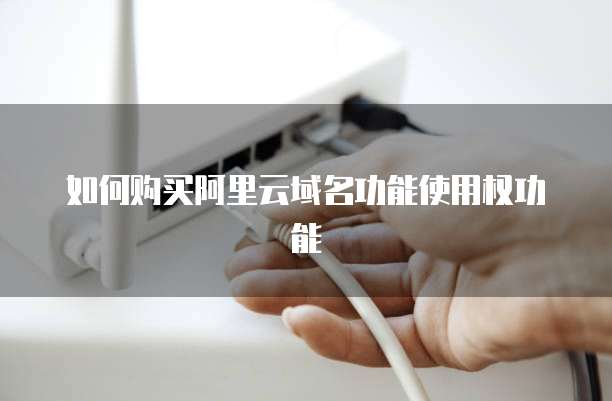 如何购买阿里云域名功能使用权功能