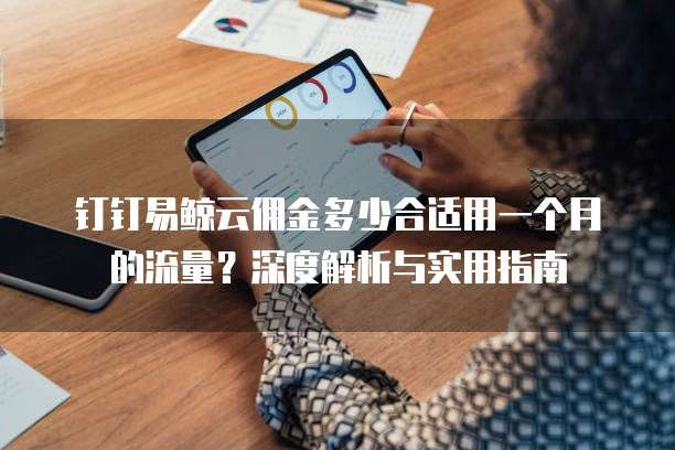 钉钉易鲸云佣金多少合适用一个月的流量?深度解析与实用指南