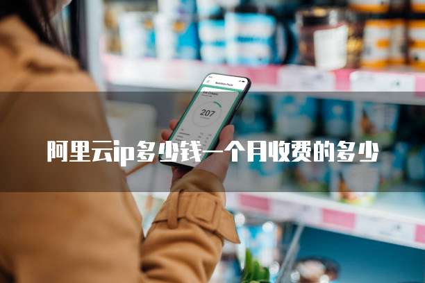 阿里云ip多少钱一个月收费的多少