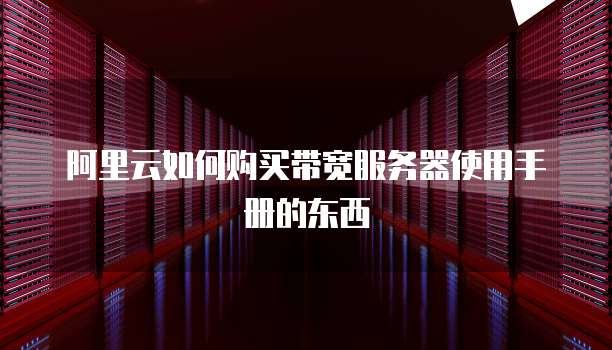 阿里云如何购买带宽服务器使用手册的东西