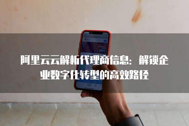 阿里云云解析代理商信息:解锁企业数字化转型的高效路径