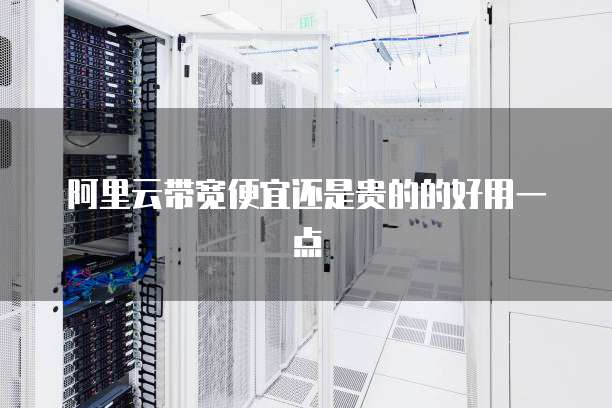 阿里云带宽便宜还是贵的的好用一点