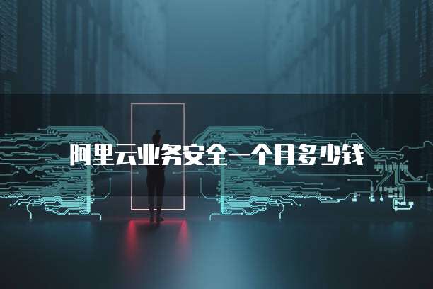 阿里云业务安全一个月多少钱