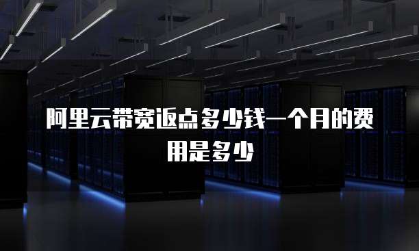 阿里云带宽返点多少钱一个月的费用是多少