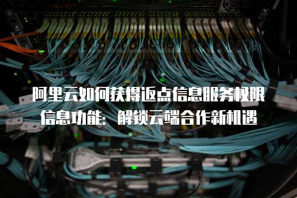 阿里云如何获得返点信息服务权限信息功能:解锁云端合作新机遇
