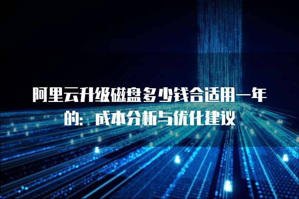 阿里云升级磁盘多少钱合适用一年的:成本分析与优化建议