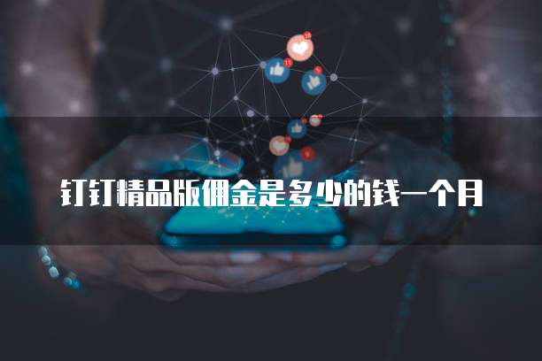 钉钉精品版佣金是多少的钱一个月