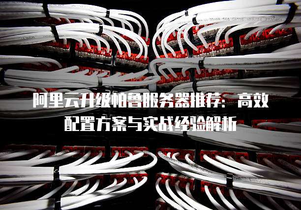 阿里云升级帕鲁服务器推荐:高效配置方案与实战经验解析