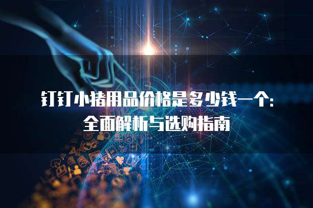 钉钉小猪用品价格是多少钱一个:全面解析与选购指南