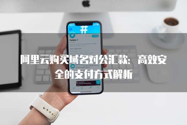阿里云购买域名对公汇款:高效安全的支付方式解析