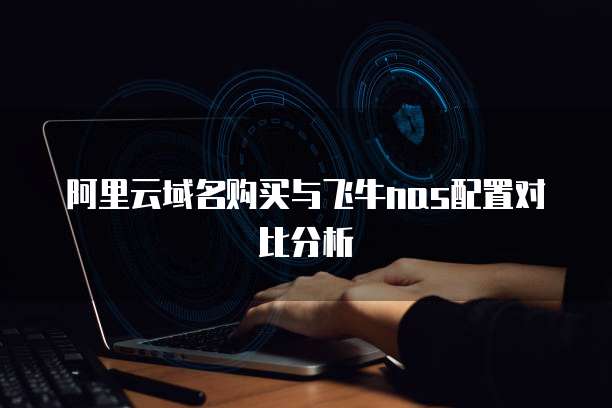 阿里云域名购买与飞牛nas配置对比分析