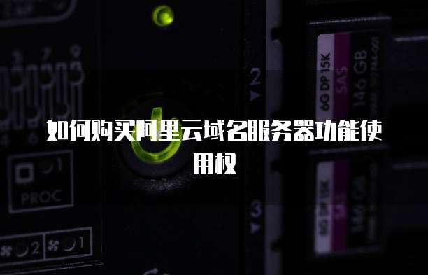 如何购买阿里云域名服务器功能使用权