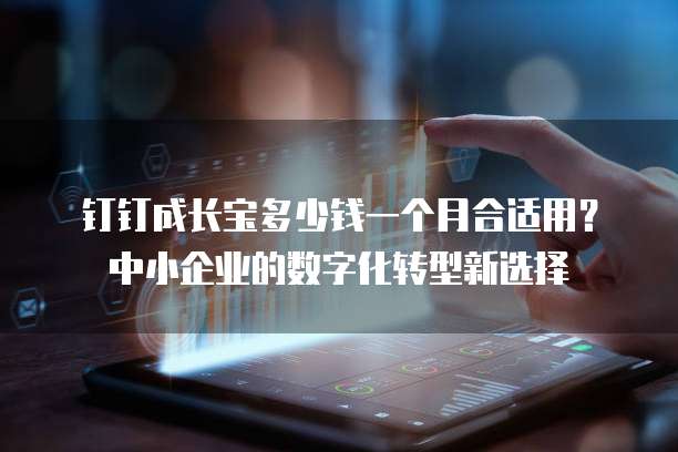 钉钉成长宝多少钱一个月合适用?中小企业的数字化转型新选择