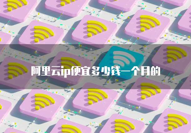 阿里云ip便宜多少钱一个月的