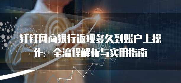钉钉网商银行返现多久到账户上操作:全流程解析与实用指南