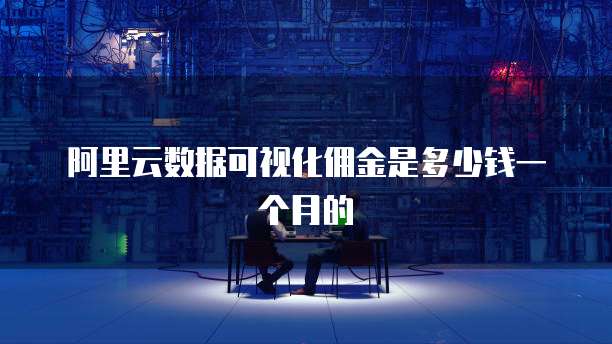 阿里云数据可视化佣金是多少钱一个月的