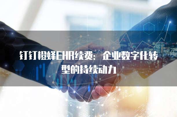 钉钉橙蜂EHR续费:企业数字化转型的持续动力