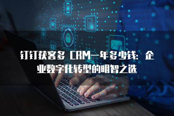钉钉获客多 CRM一年多少钱:企业数字化转型的明智之选