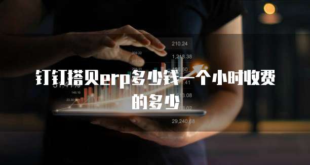 钉钉搭贝erp多少钱一个小时收费的多少