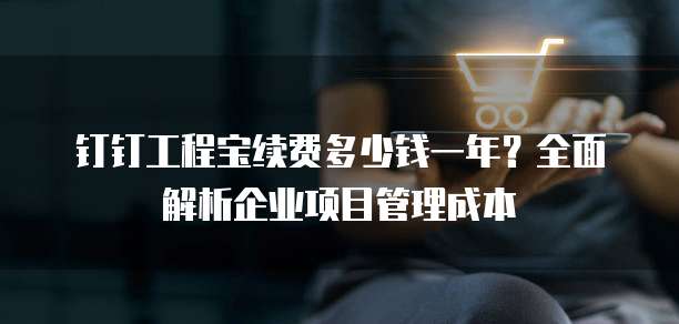 钉钉工程宝续费多少钱一年?全面解析企业项目管理成本