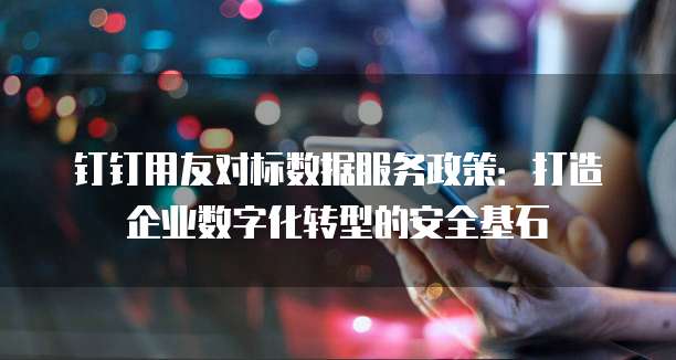 钉钉用友对标数据服务政策：打造企业数字化转型的安全基石