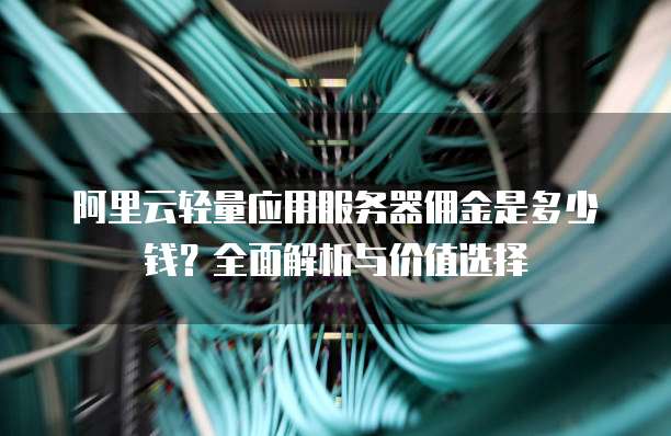 阿里云轻量应用服务器佣金是多少钱?全面解析与价值选择
