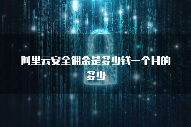 阿里云安全佣金是多少钱一个月的多少