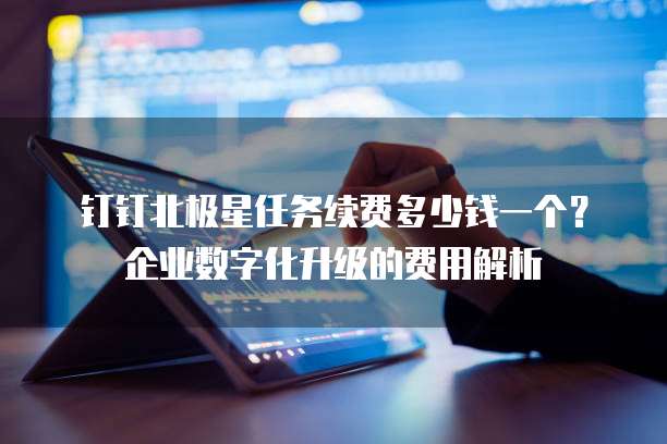 钉钉北极星任务续费多少钱一个？企业数字化升级的费用解析