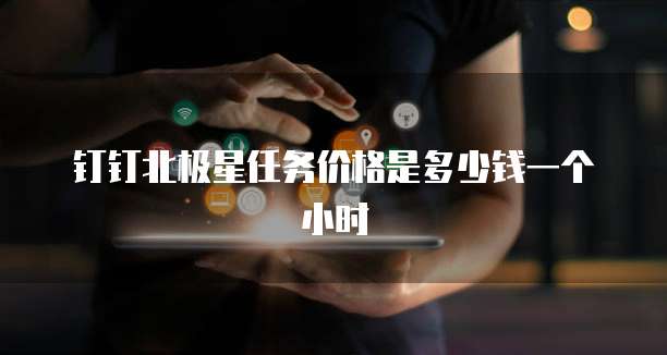 钉钉北极星任务价格是多少钱一个小时
