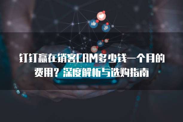 钉钉赢在销客CRM多少钱一个月的费用?深度解析与选购指南