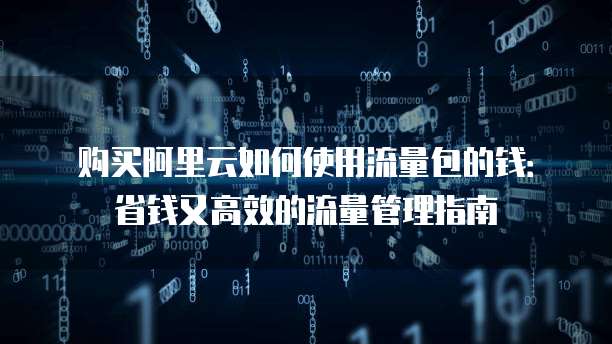 购买阿里云如何使用流量包的钱:省钱又高效的流量管理指南