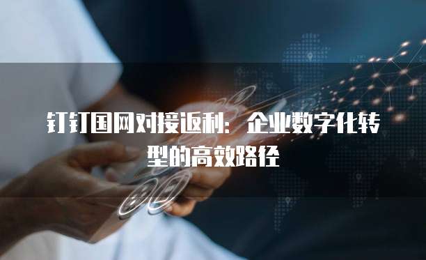 钉钉国网对接返利:企业数字化转型的高效路径