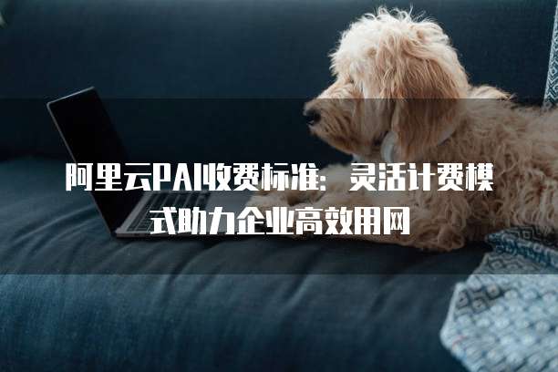 阿里云PAI收费标准:灵活计费模式助力企业高效用网