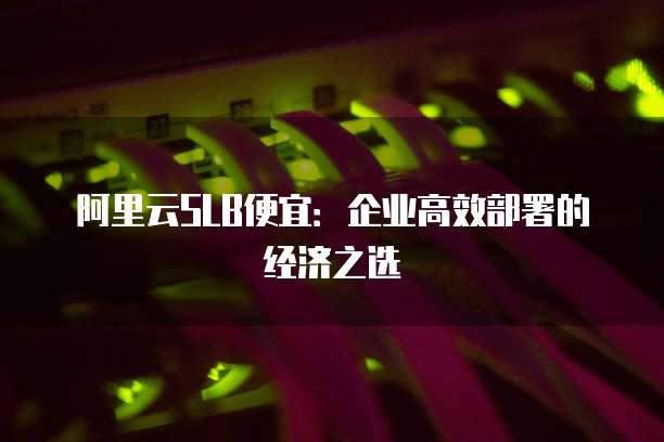 阿里云SLB便宜:企业高效部署的经济之选