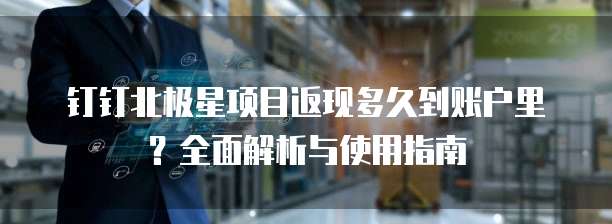 钉钉北极星项目返现多久到账户里?全面解析与使用指南