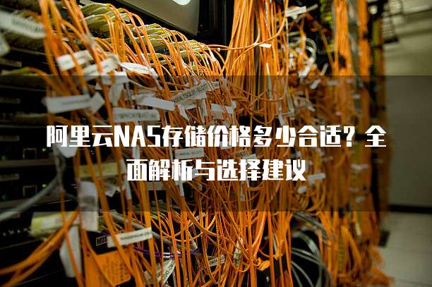 阿里云NAS存储价格多少合适？全面解析与选择建议