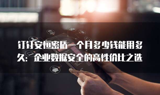 钉钉安恒密盾一个月多少钱能用多久：企业数据安全的高性价比之选