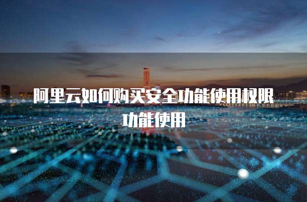阿里云如何购买安全功能使用权限功能使用