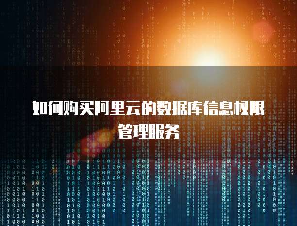 如何购买阿里云的数据库信息权限管理服务