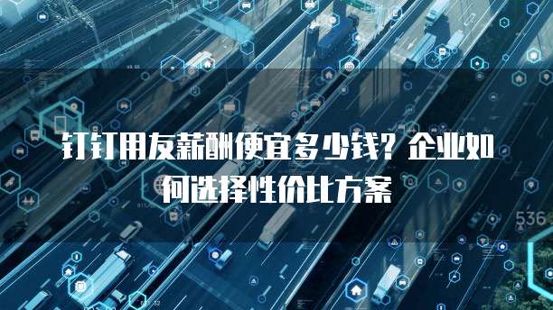 钉钉用友薪酬便宜多少钱？企业如何选择性价比方案