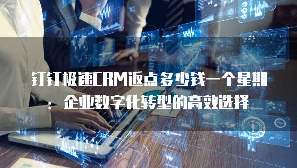 钉钉极速CRM返点多少钱一个星期:企业数字化转型的高效选择