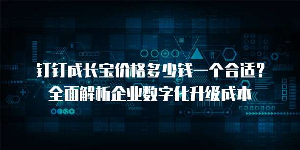 钉钉成长宝价格多少钱一个合适?全面解析企业数字化升级成本